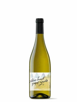 Вино «Sauvignon Blanc» 2025 Minis Terrios. 0,75 Вино «Sauvignon Blanc» 2025 Minis Terrios. 0,75